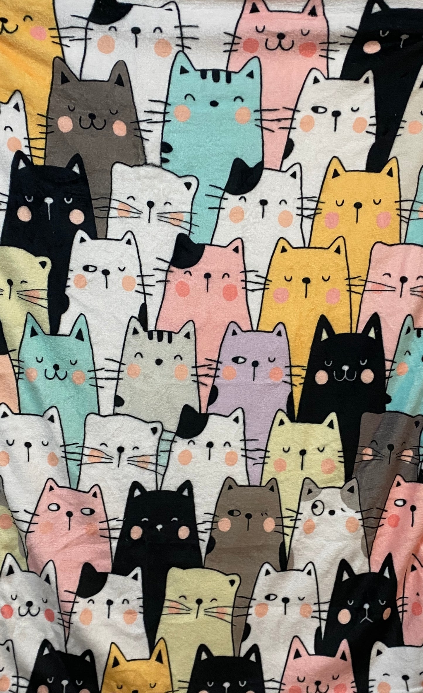 Curious Cats Gift Box 🐈‍⬛